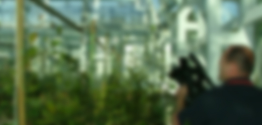 image1-blur
