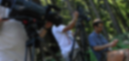 image1-blur